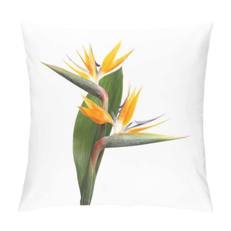 Personality  Bird Of Paradise Tropical Flowers Isolated On White Pillow Covers