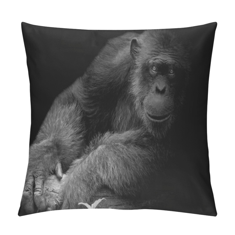 Personality  Black And White Cute Chimpanzee Smile And Catch Big Branch And Look Straight To Front Of Him On Black Background Pillow Covers