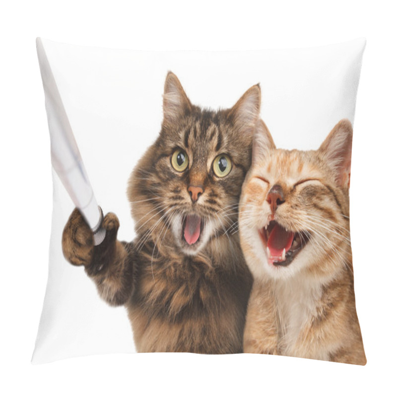 Personality  Funny Cats - Self Picture. Pillow Covers