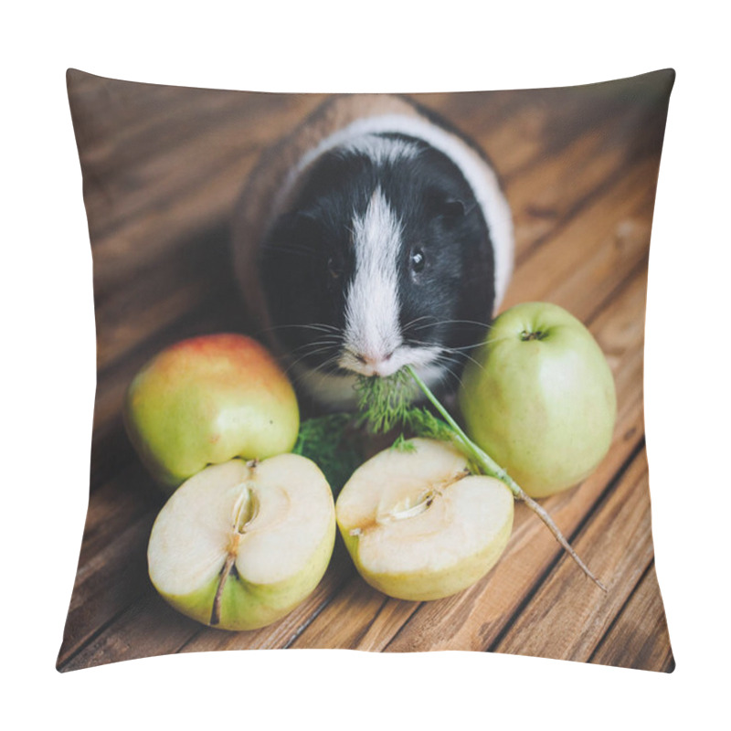 Personality  Guinea Pig Wants To Try Juicy Fruit. Apples. On A Wooden Background. Feeding Guinea Pigs. Pillow Covers