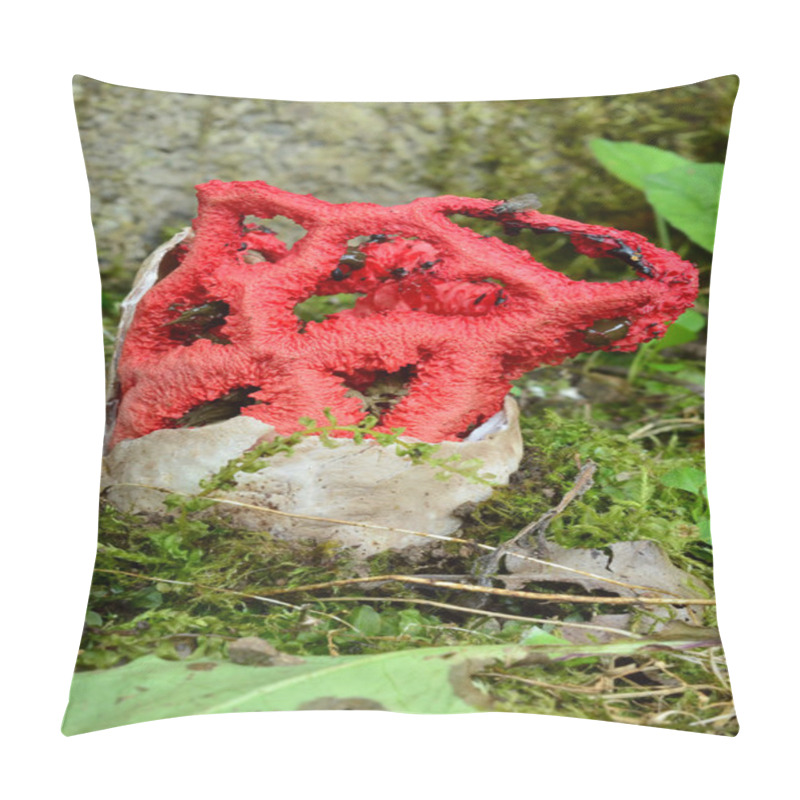 Personality  Red Cage Mushroom Pillow Covers