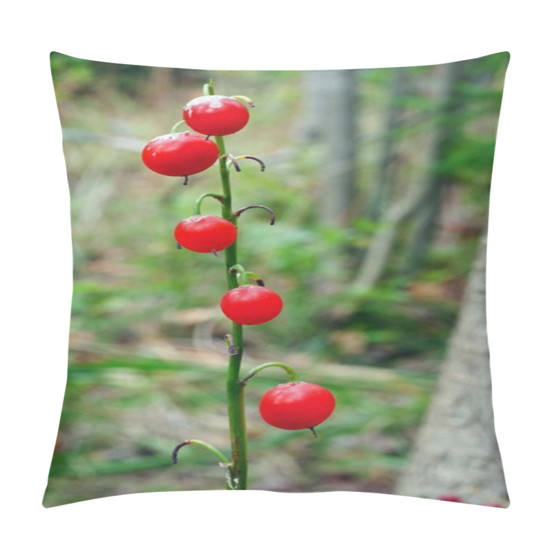 Personality  May Lily Berrys   Pillow Covers