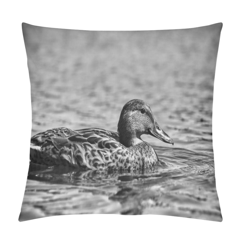 Personality  Black And White Photo Of Beautiful Duck Swimming In Water Pillow Covers