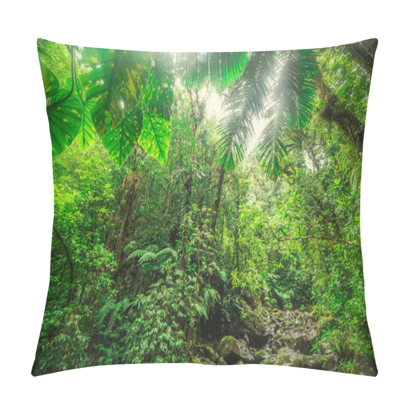 Personality  Thick Vegetation In Basse Terre Jungle In Guadeloupe. Lesser Antilles, Caribbean Pillow Covers