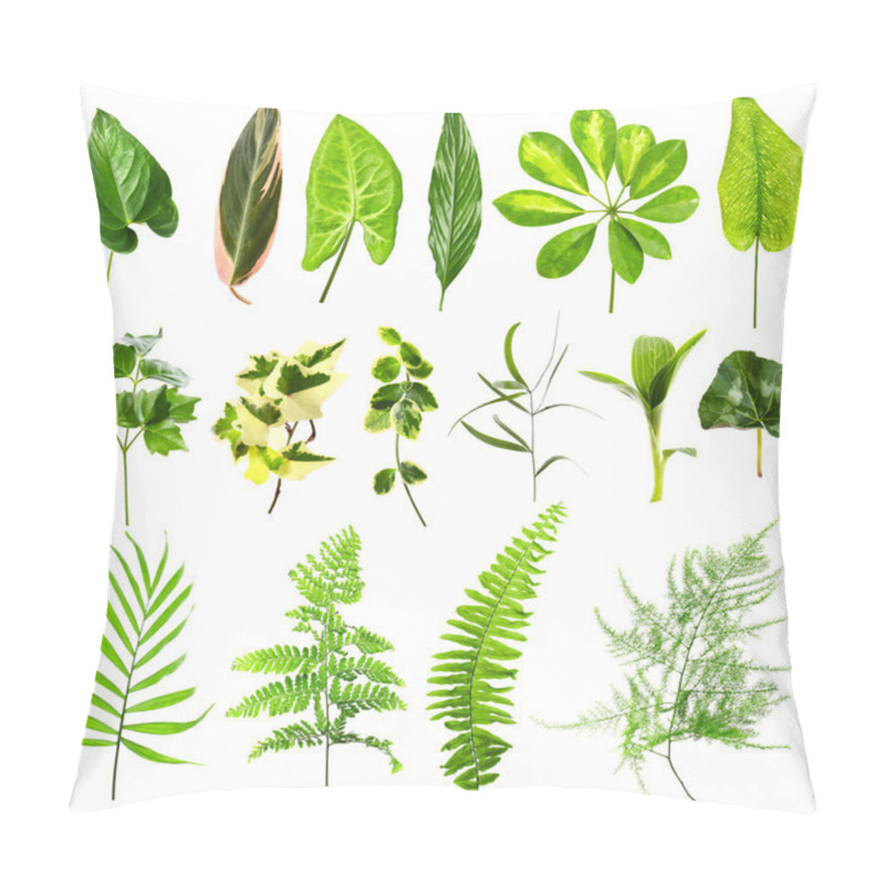 Personality  Set Of Different Houseplants Leaves Pillow Covers