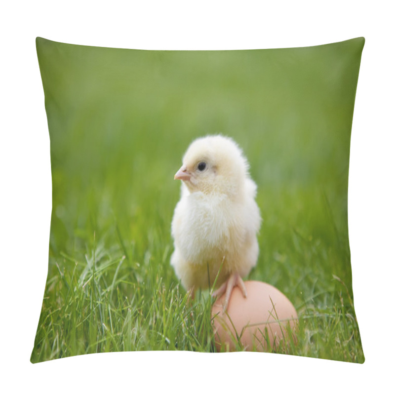 Personality  Little Chicken Pillow Covers