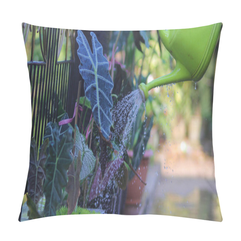 Personality  A Group Of Alocasia Houseplants In The Backyard Is Being Watered In The Morning Pillow Covers