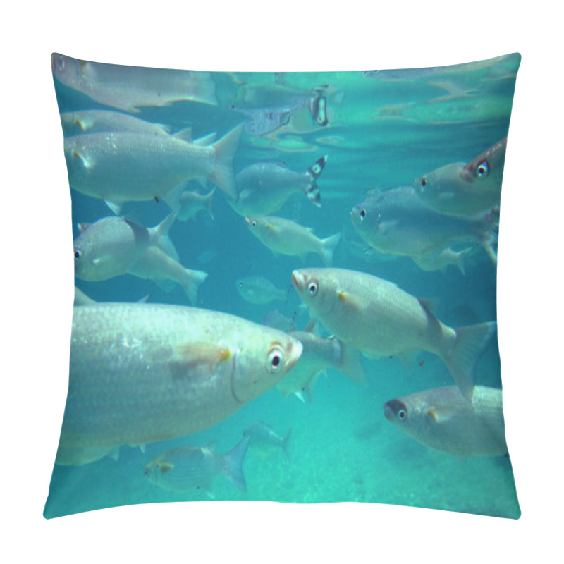 Personality  Tahiti, French Polynesia Pillow Covers