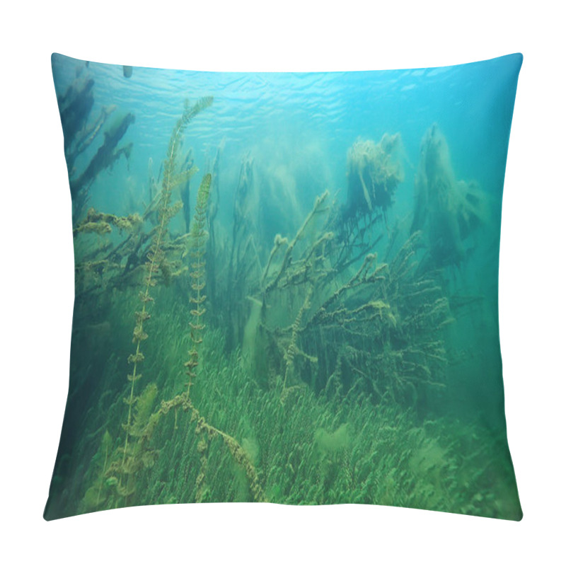 Personality  Underwater Green Landscape / Nature Underwater Eco Ecology Lake, Wild Diving Pillow Covers