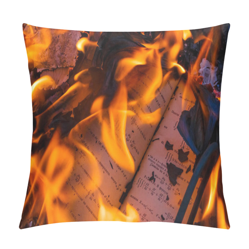 Personality  The Textbook On Higher Mathematics, Is Burned In The Fire. Pillow Covers