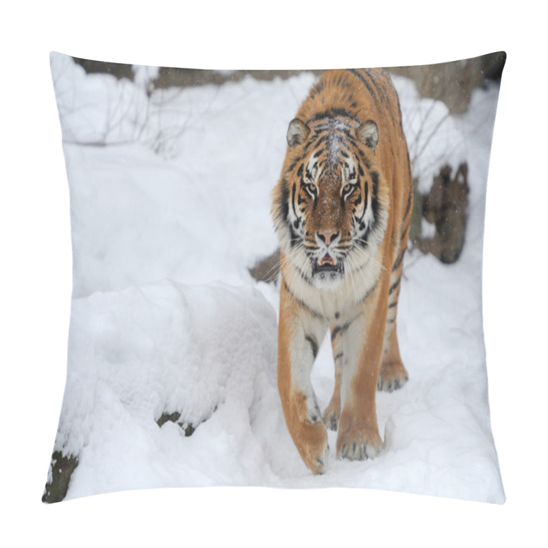 Personality  Tiger Pillow Covers