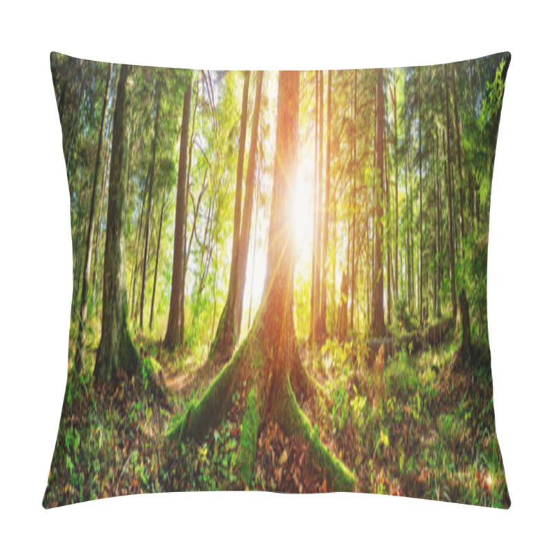 Personality  Fir Tree Woods In Early Morning With Beautiful Sunlight Pillow Covers