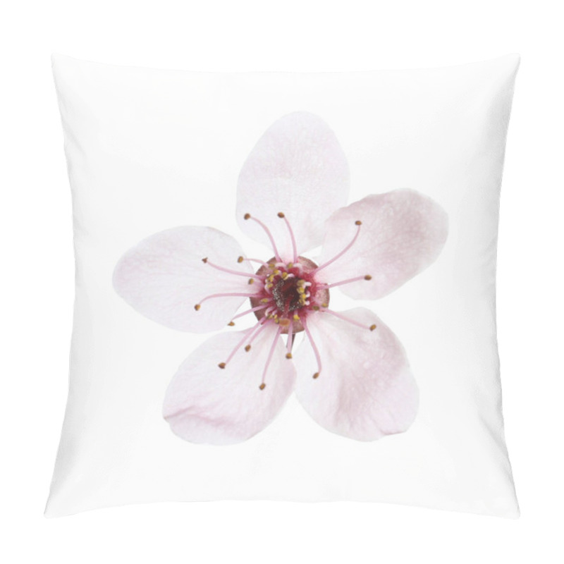 Personality  Beautiful Plum Blossom Isolated On White. Spring Season Pillow Covers