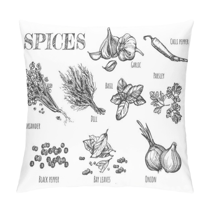 Personality  Vector Illustration Of Spices Set. Garlic, Dill, Chili Pepper, Basil, Parsley, Coriander, Seeds Of Black Pepper, Bay Leaves, Onion. Vintage Hand Drawn Style. Pillow Covers