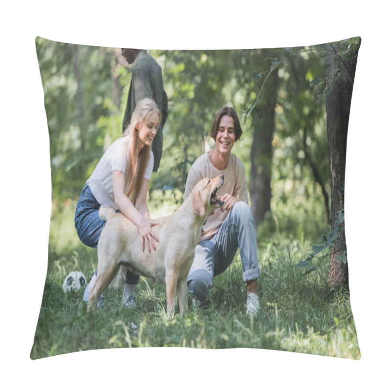 Personality  Smiling Friends Petting Retriever Dog Near African American Friend Playing Football  Pillow Covers