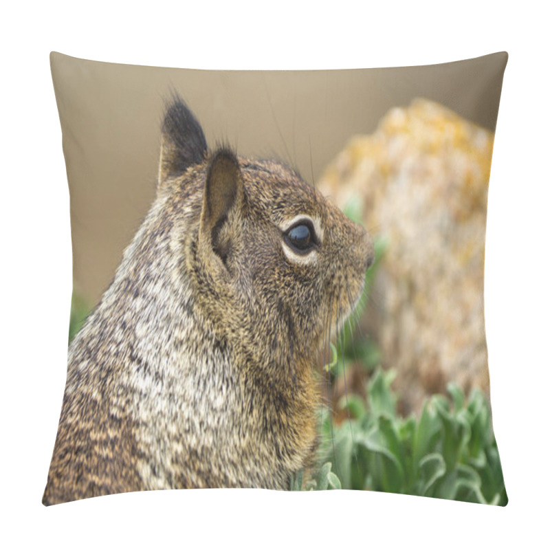 Personality  Close Up Picture Of A Cute California Ground Squirrel At 17 Mile Drive. High Quality Photo Pillow Covers