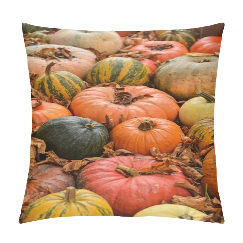 Personality  Diverse Assortment Of Pumpkins On Background. Autumn Harvest. Pillow Covers