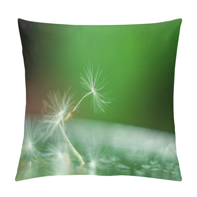 Personality  Flying Dandelion Seeds Pillow Covers