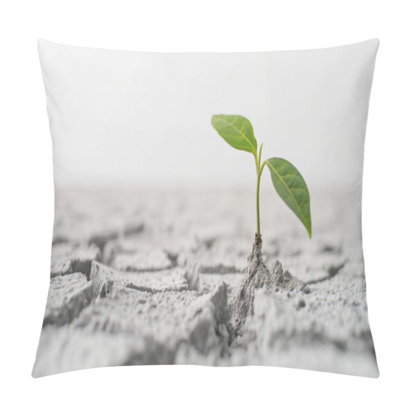 Personality  A Young Plant Sprouting Through Cracked, Dry Earth, Symbolizing Hope And Resilience. Pillow Covers