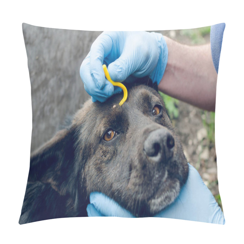 Personality  Human Hands In Blue Gloves Remove The Tick With The Hook Of The Dog Pillow Covers