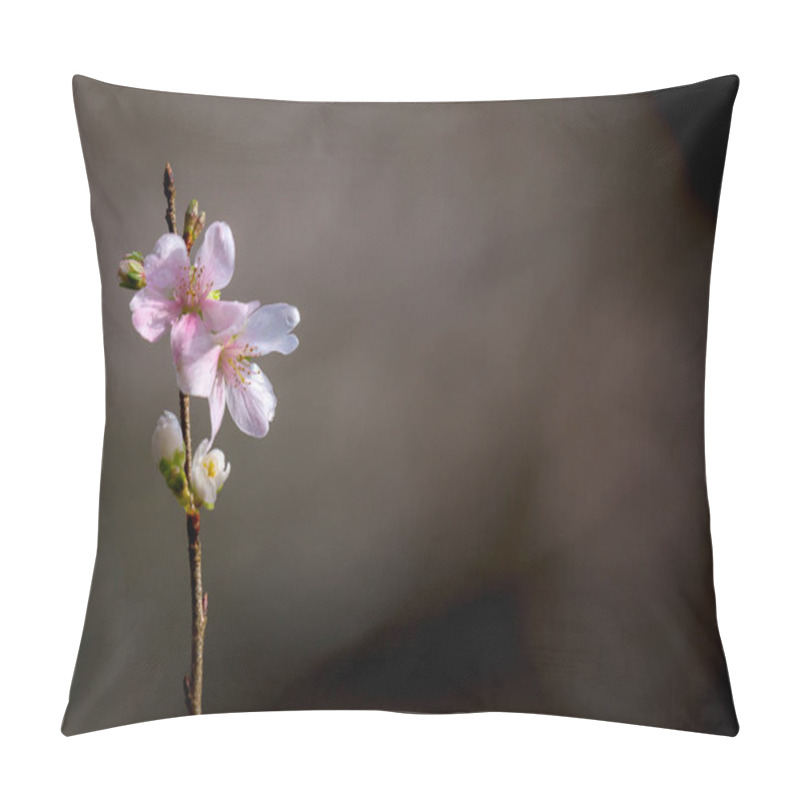 Personality  Sakura Cherry Blossoms Pillow Covers