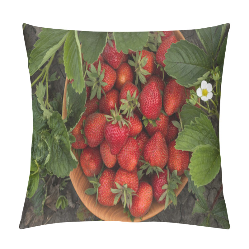 Personality  Close Up Shot Of Freshly Picked Ripe Red Strawberries In The Wooden Bowl Among The Green Leaves Of Strawberry Bushes In The Garden. Yield Of Berries In The Summer. Flat Lay Pillow Covers