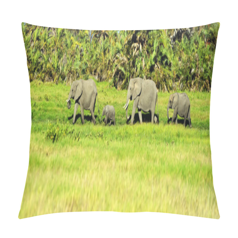 Personality  Amboseli Elephants Pillow Covers