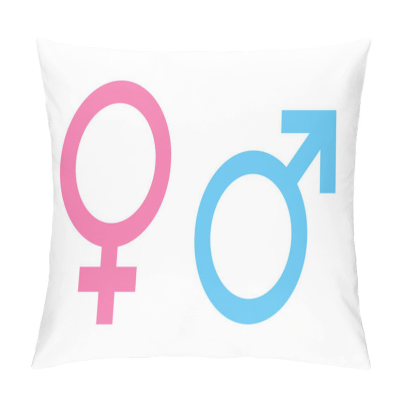 Personality  Male And Female Sex Gender Symbol Icon Vector Illustration Pillow Covers