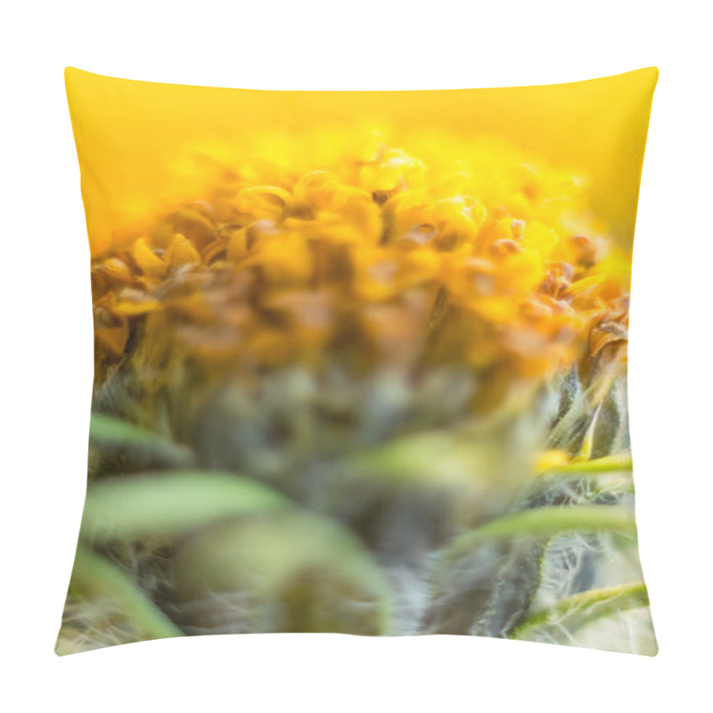 Personality  Close-up Of A Vibrant Yellow Jerusalem Artichoke Flower, Showcasing The Intricate Beauty And Bright Colors Of This Herbaceous Bloom Pillow Covers