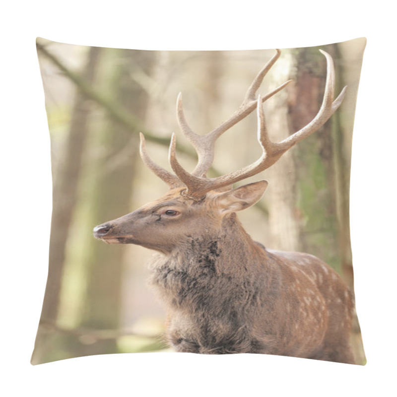 Personality  Deer In Autumn Forest Pillow Covers