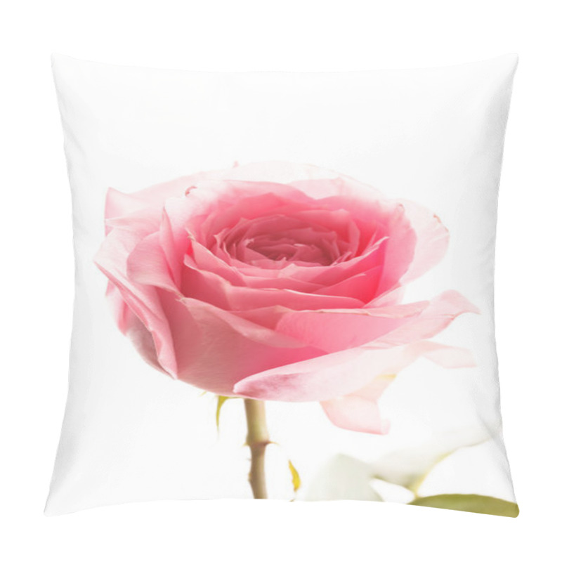 Personality  Pink Beautiful Rose Pillow Covers