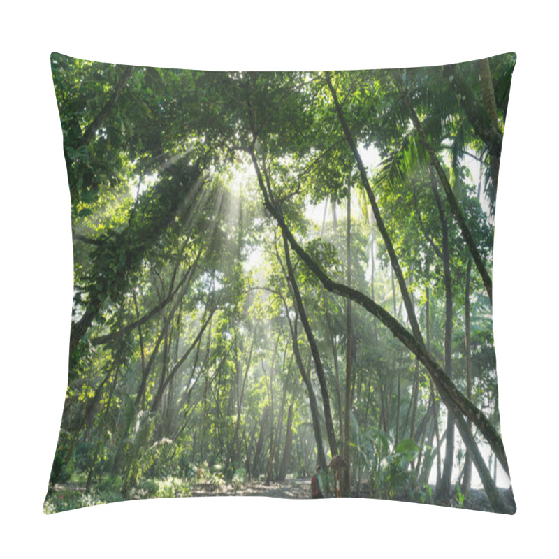 Personality  Sun Rays Shine Through Jungle Rain Forest, Costa Rica Corcovado National Park Pillow Covers