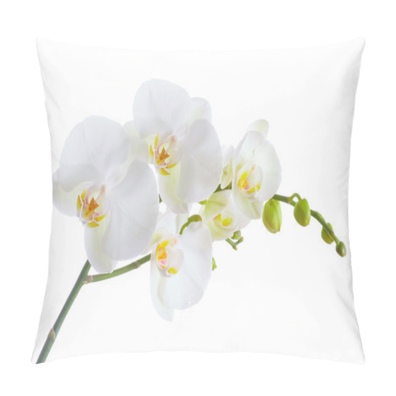 Personality  White Orchid Pillow Covers