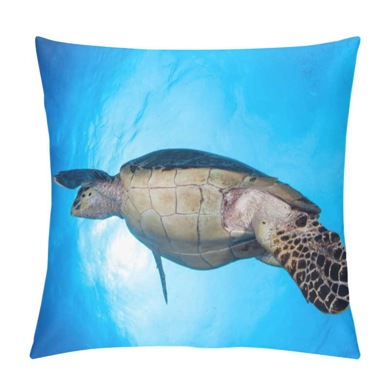 Personality  Hawksbill Sea Turtle in Caribbean Sea pillow covers