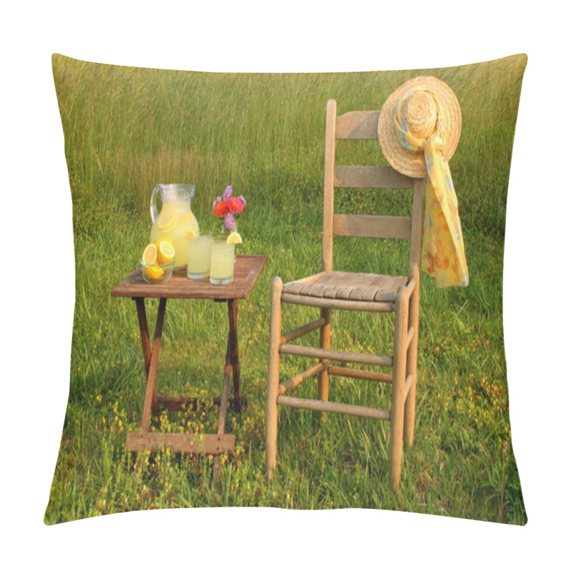 Personality  Summer Evening With Lemonade Pillow Covers