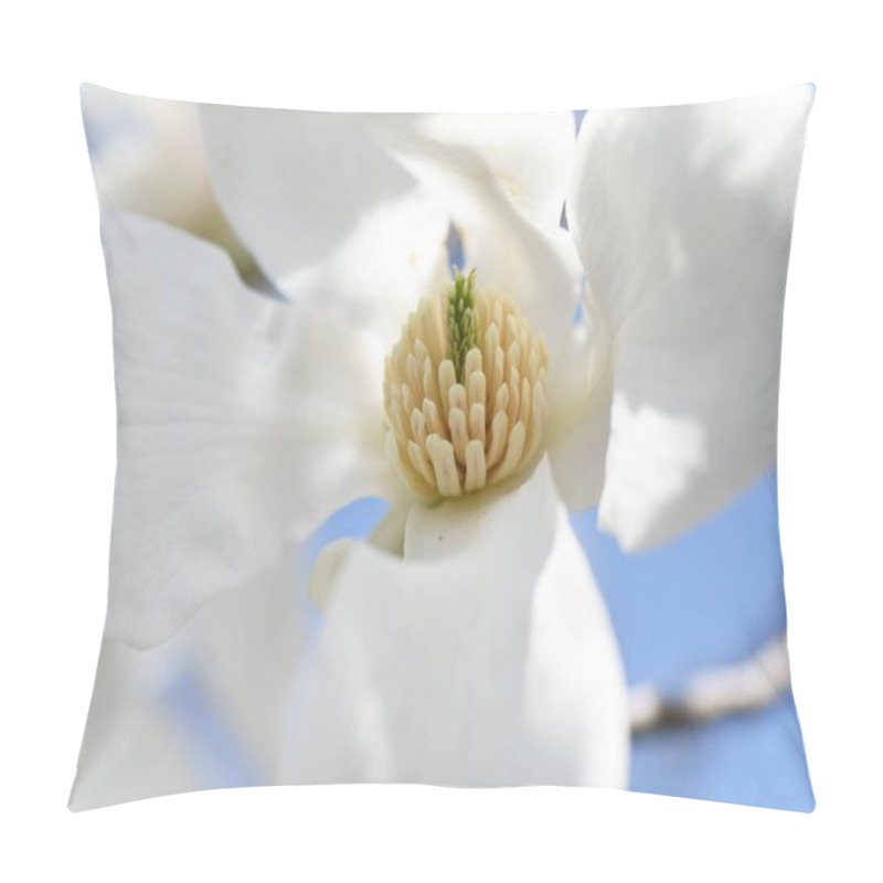 Personality  Kobus Magnolia Blossoms. A Representative Flowering Tree That Blooms White Flowers In Early Spring And Heralds The Arrival Of Spring. The Buds Are Dried And Used As A Herbal Medicine. Pillow Covers