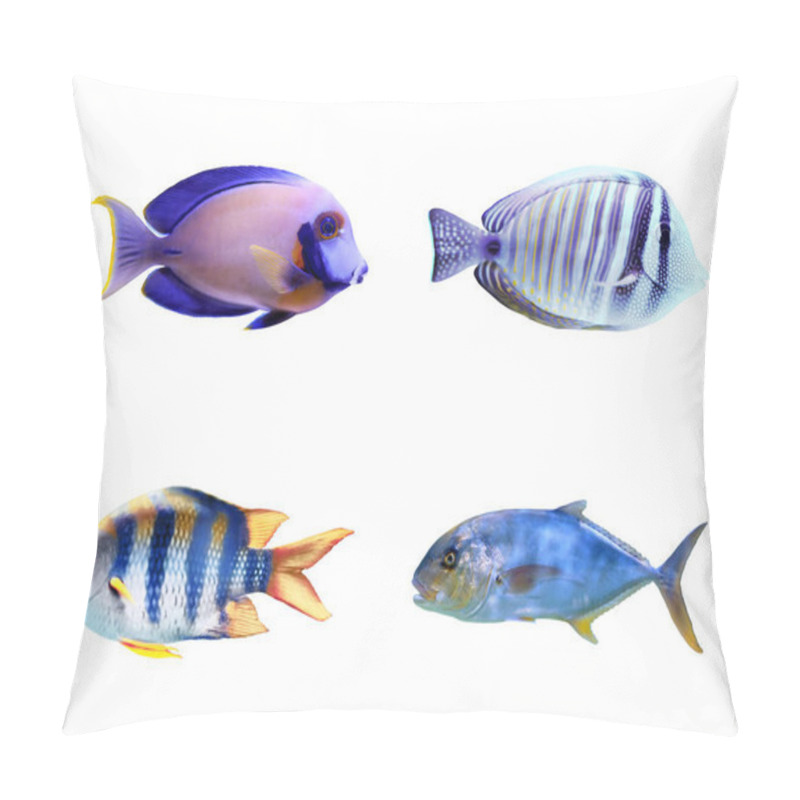 Personality  Set Of Different Bright Tropical Fishes On White Background Pillow Covers