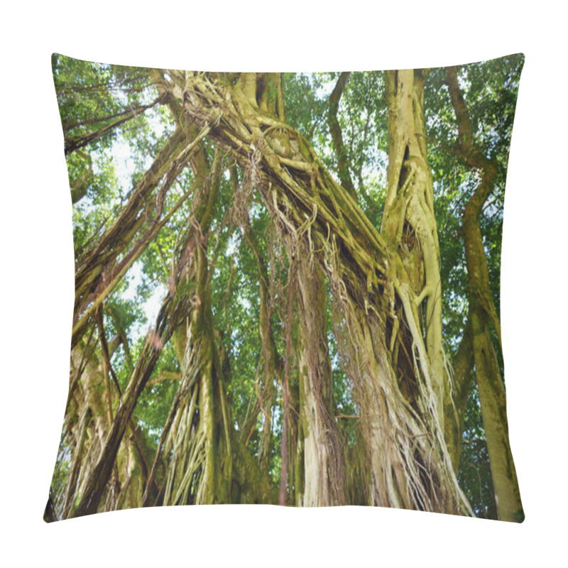 Personality  Big Banyan Tree Pillow Covers