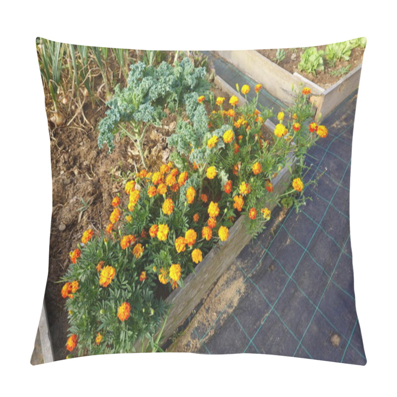 Personality  Vibrant Marigolds, Leafy Kale, And Growing Onions In A Raised Garden Bed, Showcasing Companion Planting In A Home Vegetable Garden. Pillow Covers