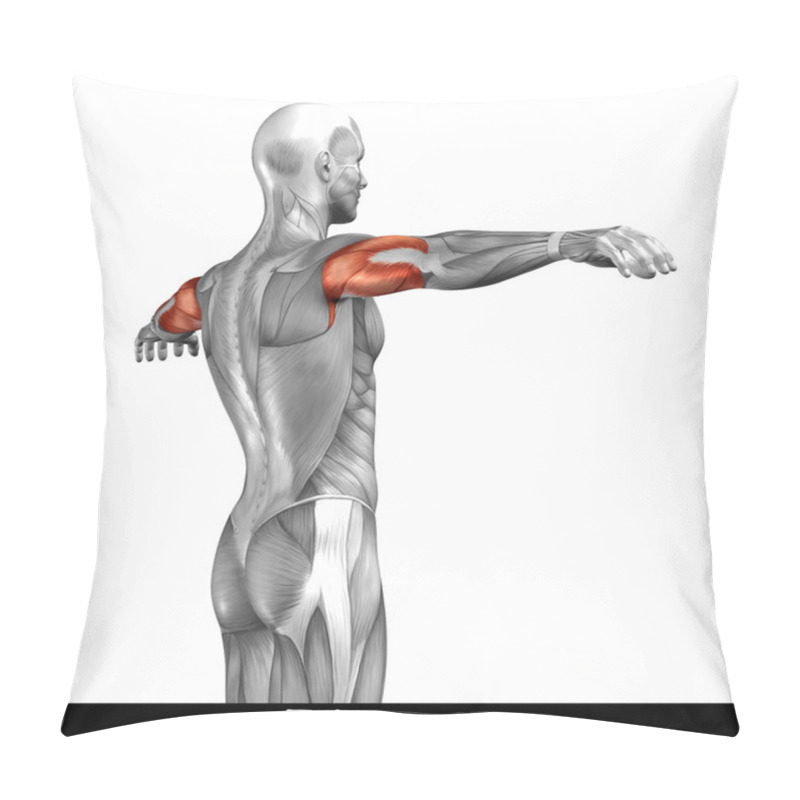 Personality  Concept Or Conceptual 3D Triceps Human Anatomy Or Anatomical And Muscle Isolated On White Background Pillow Covers