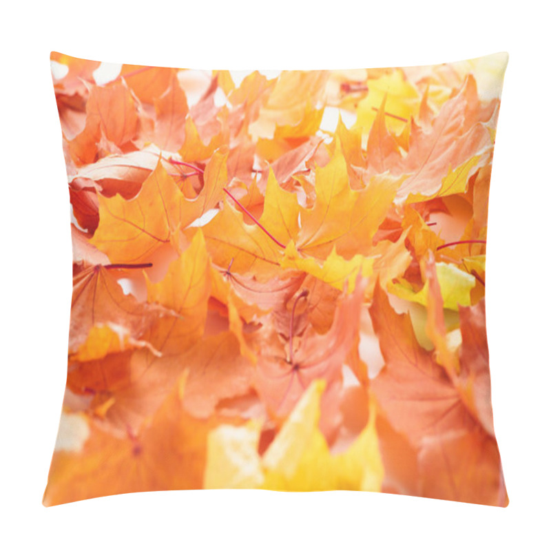 Personality  Selective Focus Of Orange And Yellow Maple Leaves, Autumn Background Pillow Covers