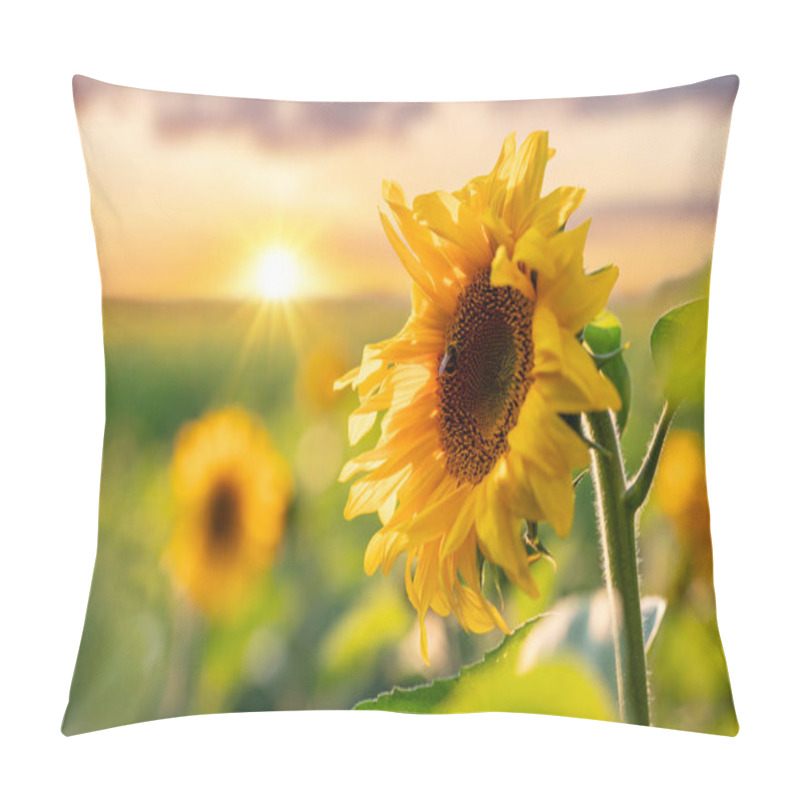 Personality  Close Up Of Blooming Sunflower With Setting Sun On Background. HDR Image Of Bright Sunflower In Agricultural Field In The Evening Pillow Covers