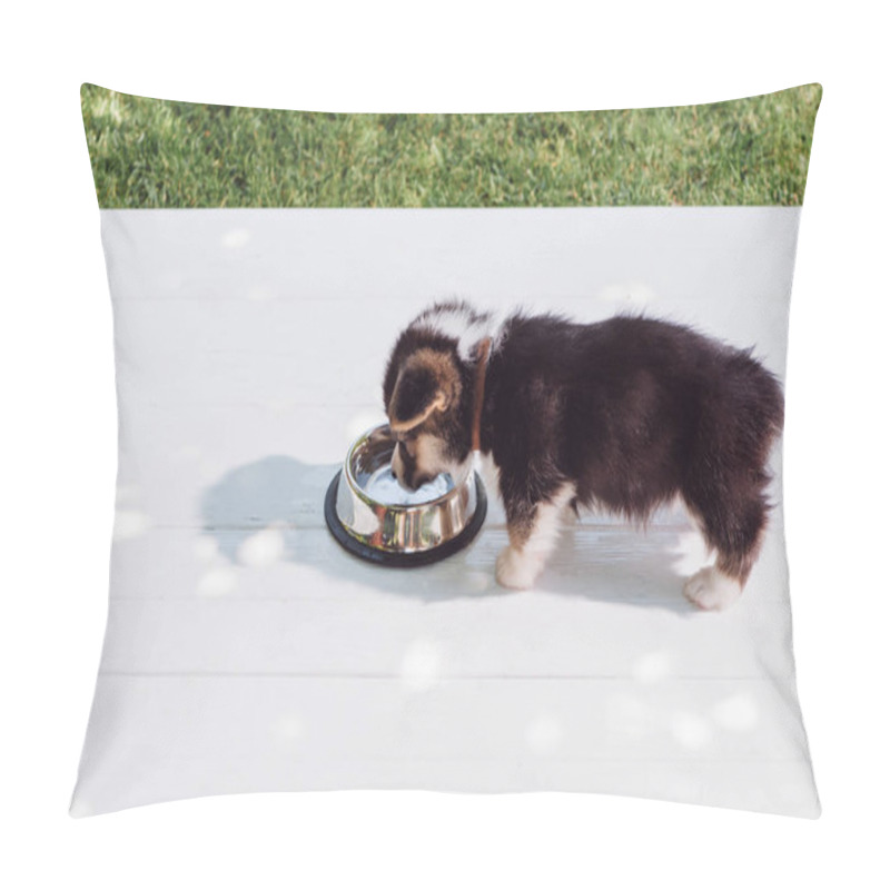 Personality  Cute Fluffy Corgi Puppy Drinking Water From Silver Pet Bowl On Wooden Construction In Garden Pillow Covers