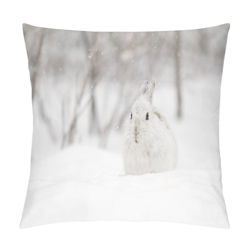 Personality  Snowshoe Hare (Lepus Americanus) In The Falling Snow Pillow Covers