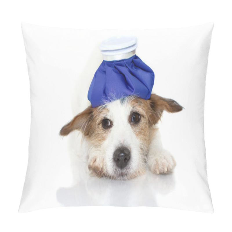 Personality  CUTE AND SAD SICK JACK RUSSELL DOG LYING DOWN WITH A BLUE ICE BAG ON HEAD. ISOLATED AGAINST WHITE BACKGROUND. Pillow Covers