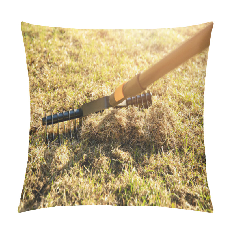 Personality  Garden Lawn Aeration With Scarifier Rake Pillow Covers