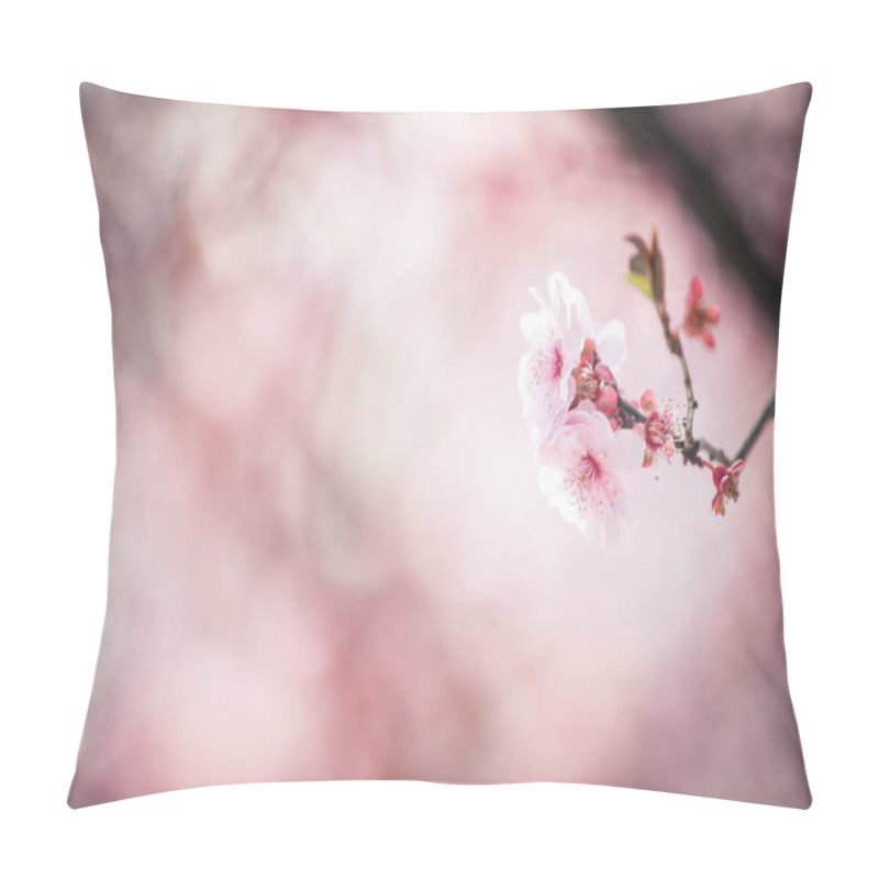 Personality  Close Up Macro Image Of Beautiful Spring Peach Tree Blossoms Pillow Covers