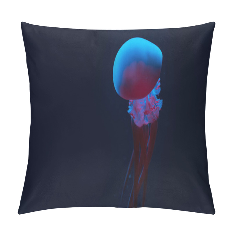 Personality  Jellyfish In Blue And Pink Neon Lights On Black Background Pillow Covers