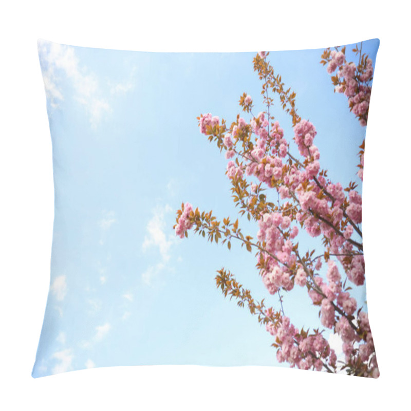 Personality  Closeup View Of Blossoming Pink Sakura Tree Outdoors Pillow Covers