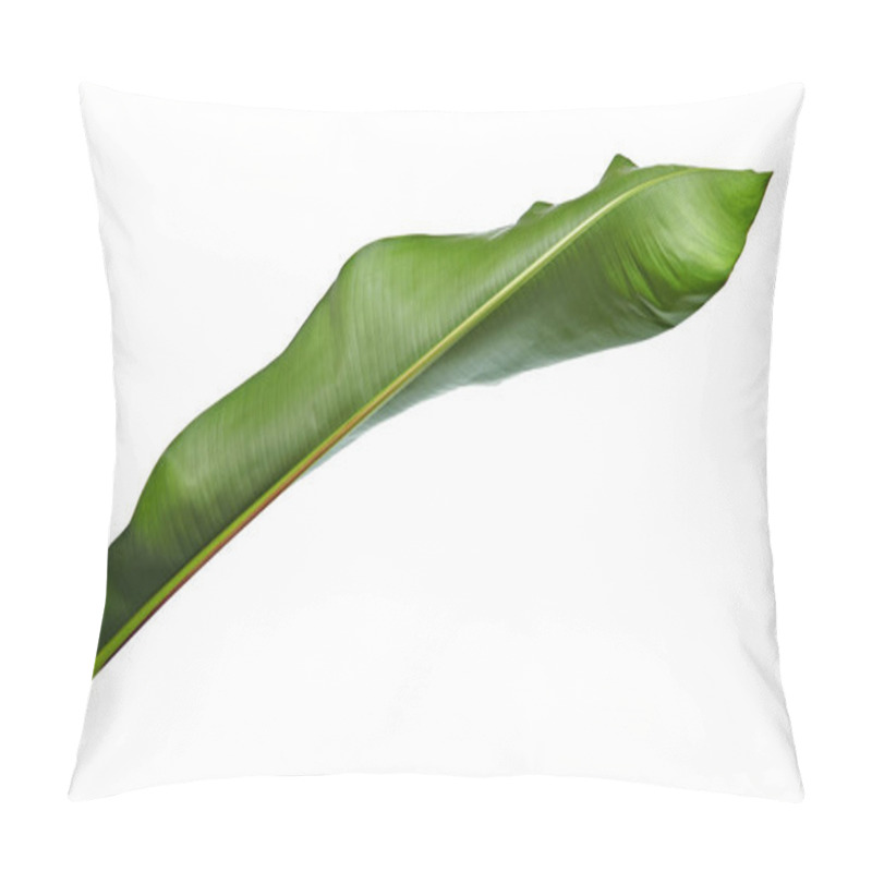 Personality  Strelitzia Reginae, Heliconia, Bird Of Paradise Foliage Isolated On White Background, With Clipping Path Pillow Covers